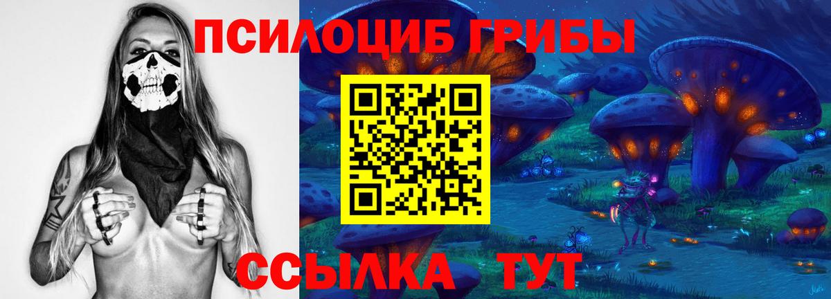 даркнет сайт  Вход с VPN  Домодедово  Псилоцибиновые грибы Magic Shrooms 